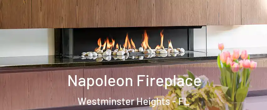 Napoleon Fireplace Westminster Heights - FL