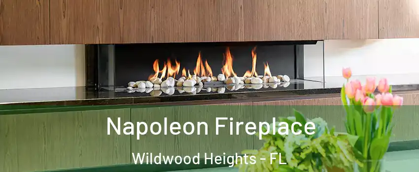 Napoleon Fireplace Wildwood Heights - FL