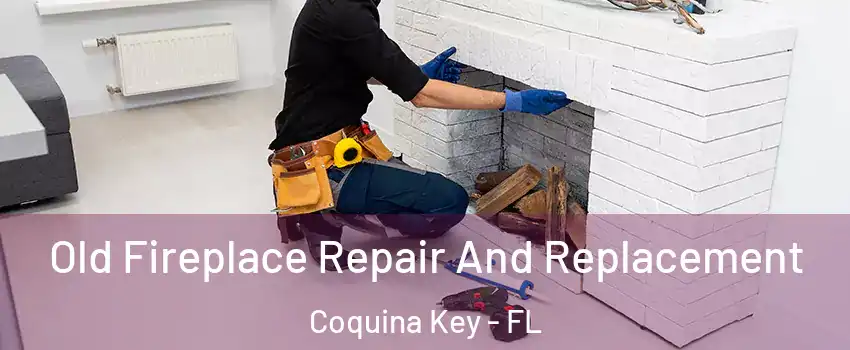 Old Fireplace Repair And Replacement Coquina Key - FL
