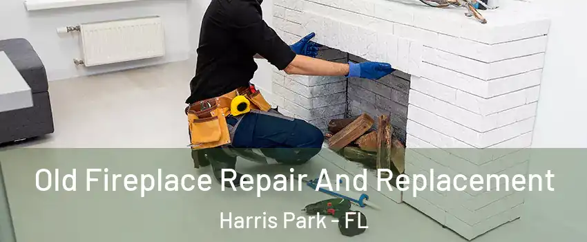 Old Fireplace Repair And Replacement Harris Park - FL