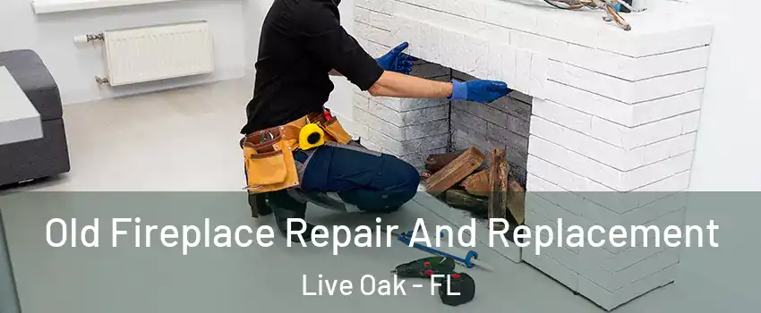 Old Fireplace Repair And Replacement Live Oak - FL