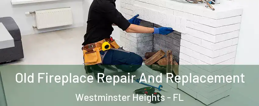Old Fireplace Repair And Replacement Westminster Heights - FL