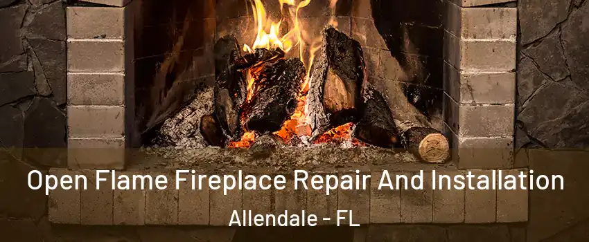 Open Flame Fireplace Repair And Installation Allendale - FL
