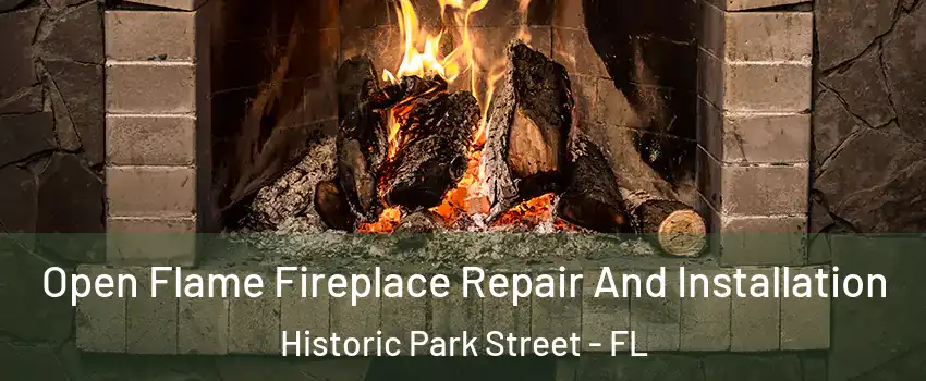 Open Flame Fireplace Repair And Installation Historic Park Street - FL