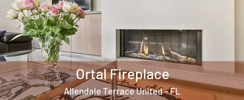 Ortal Fireplace Allendale Terrace United - FL