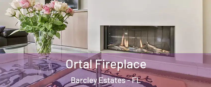 Ortal Fireplace Barcley Estates - FL