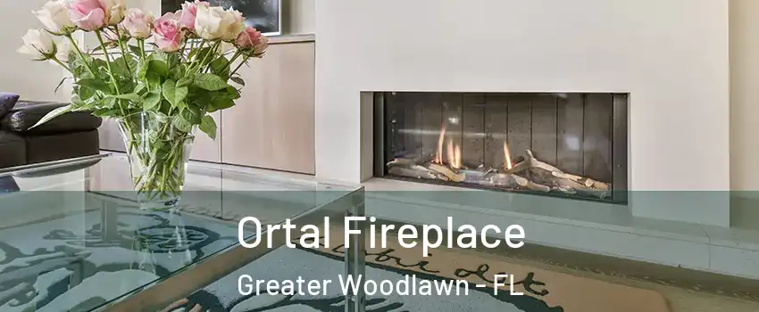 Ortal Fireplace Greater Woodlawn - FL