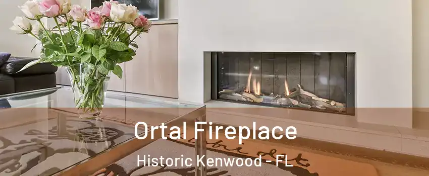 Ortal Fireplace Historic Kenwood - FL