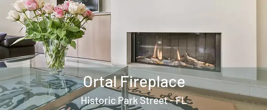 Ortal Fireplace Historic Park Street - FL