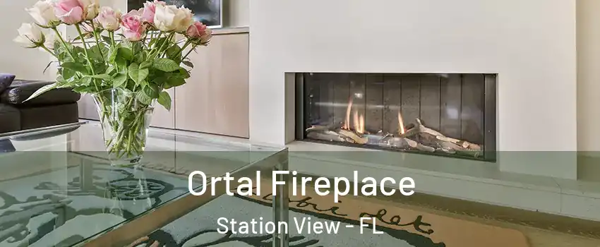 Ortal Fireplace Station View - FL