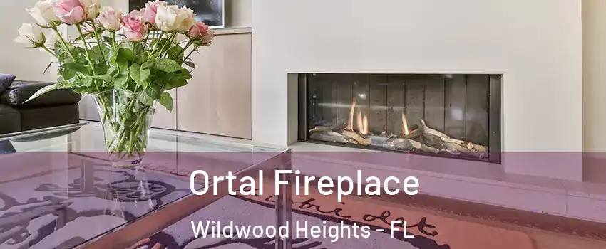 Ortal Fireplace Wildwood Heights - FL