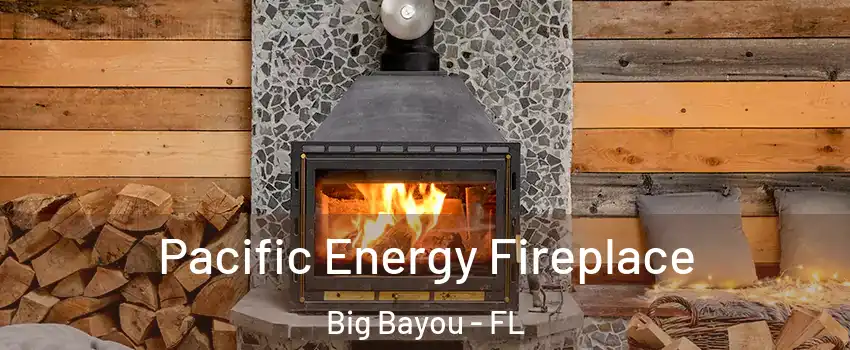 Pacific Energy Fireplace Big Bayou - FL
