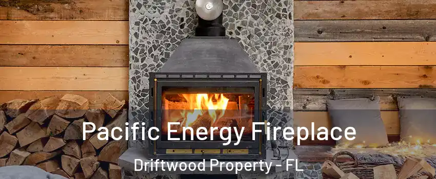 Pacific Energy Fireplace Driftwood Property - FL