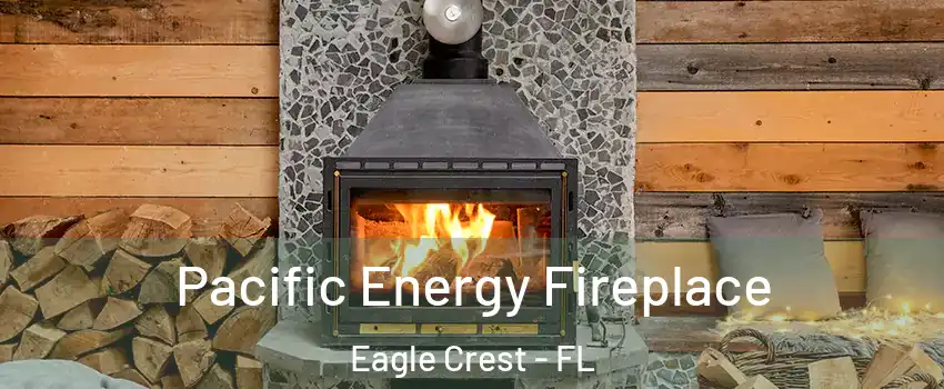 Pacific Energy Fireplace Eagle Crest - FL