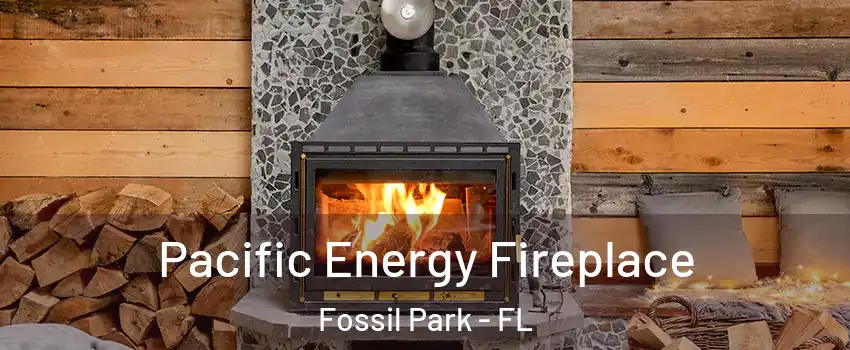 Pacific Energy Fireplace Fossil Park - FL