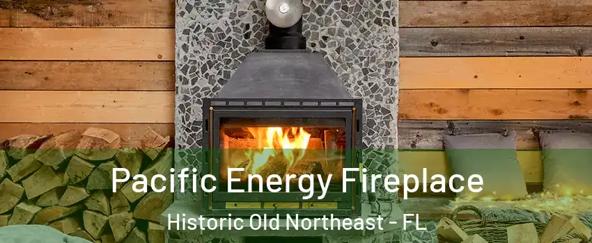 Pacific Energy Fireplace Historic Old Northeast - FL