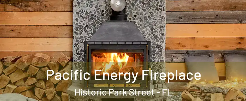Pacific Energy Fireplace Historic Park Street - FL