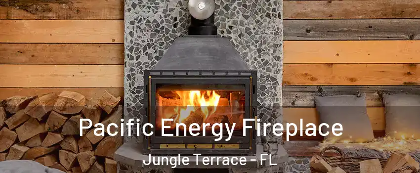Pacific Energy Fireplace Jungle Terrace - FL