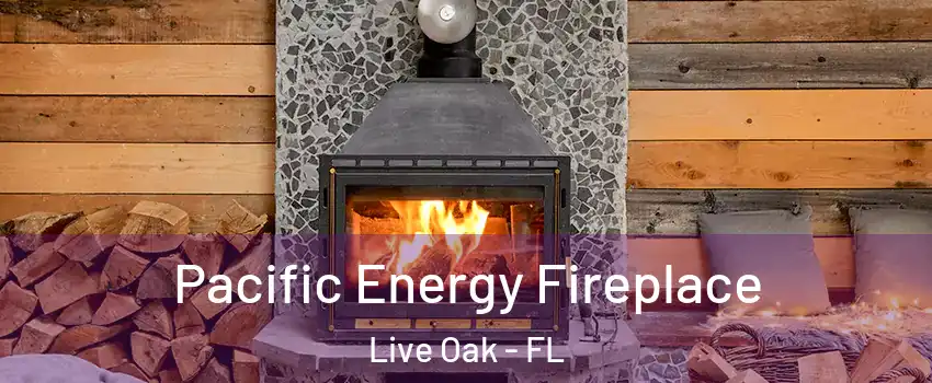 Pacific Energy Fireplace Live Oak - FL