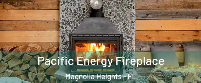 Pacific Energy Fireplace Magnolia Heights - FL