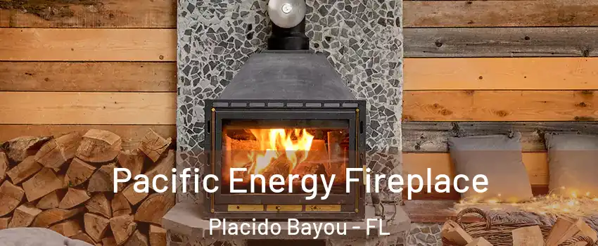 Pacific Energy Fireplace Placido Bayou - FL