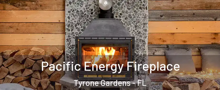 Pacific Energy Fireplace Tyrone Gardens - FL
