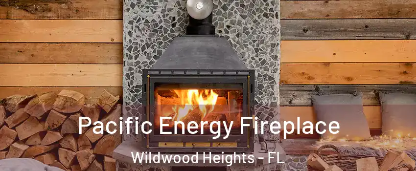 Pacific Energy Fireplace Wildwood Heights - FL
