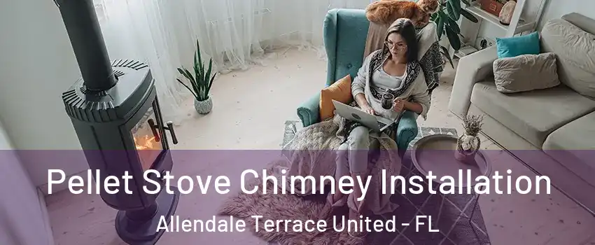 Pellet Stove Chimney Installation Allendale Terrace United - FL