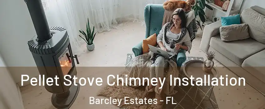 Pellet Stove Chimney Installation Barcley Estates - FL