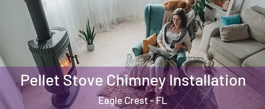 Pellet Stove Chimney Installation Eagle Crest - FL