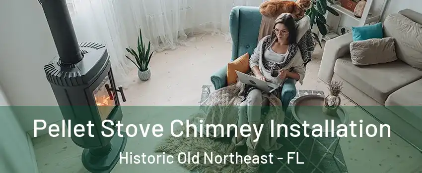Pellet Stove Chimney Installation Historic Old Northeast - FL