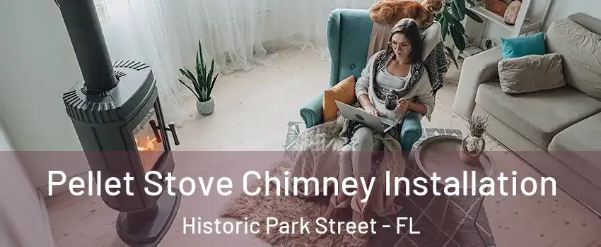 Pellet Stove Chimney Installation Historic Park Street - FL
