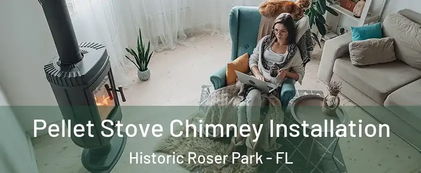 Pellet Stove Chimney Installation Historic Roser Park - FL
