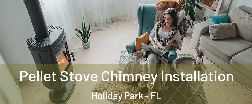 Pellet Stove Chimney Installation Holiday Park - FL