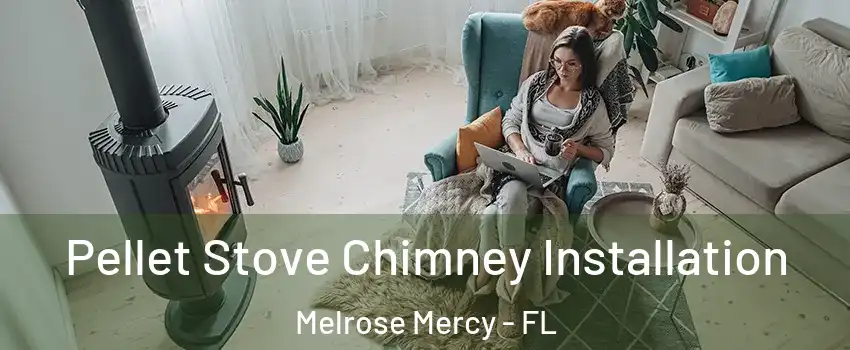 Pellet Stove Chimney Installation Melrose Mercy - FL