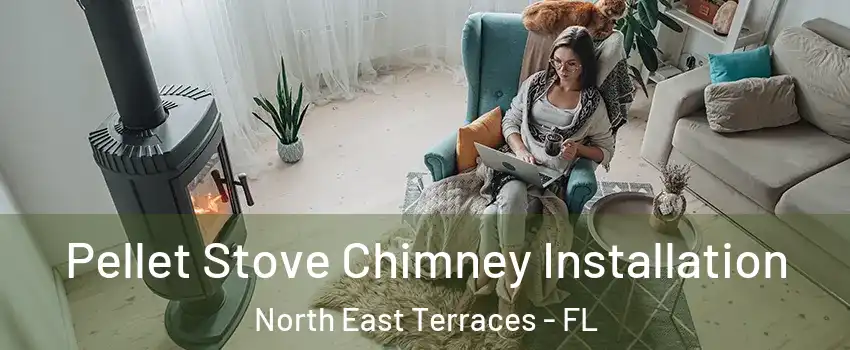 Pellet Stove Chimney Installation North East Terraces - FL