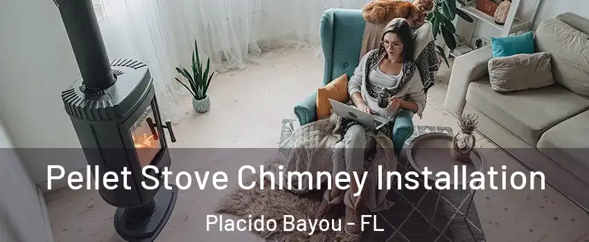 Pellet Stove Chimney Installation Placido Bayou - FL