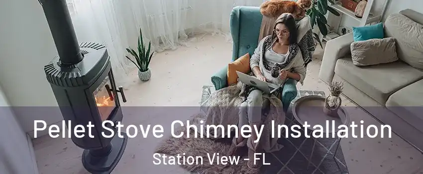 Pellet Stove Chimney Installation Station View - FL
