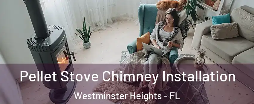 Pellet Stove Chimney Installation Westminster Heights - FL