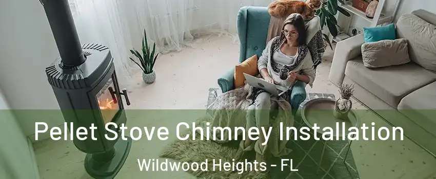 Pellet Stove Chimney Installation Wildwood Heights - FL