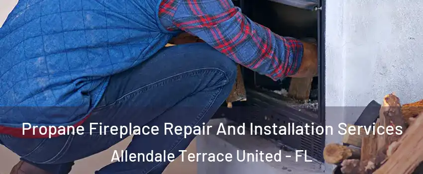 Propane Fireplace Repair And Installation Services Allendale Terrace United - FL