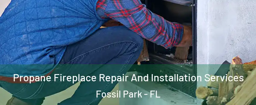 Propane Fireplace Repair And Installation Services Fossil Park - FL
