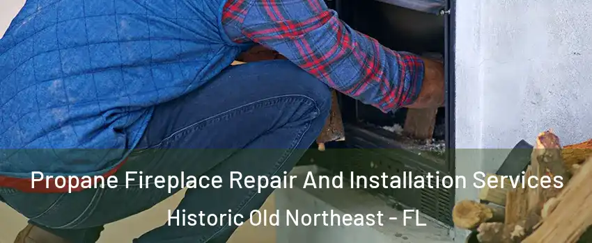 Propane Fireplace Repair And Installation Services Historic Old Northeast - FL