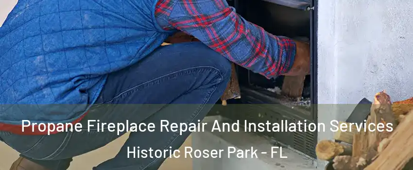 Propane Fireplace Repair And Installation Services Historic Roser Park - FL