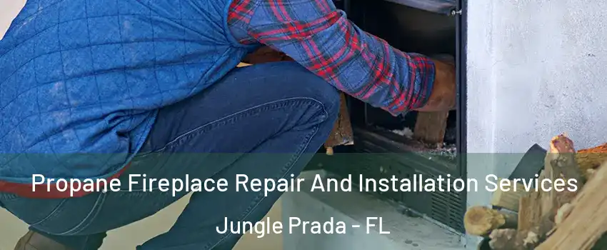 Propane Fireplace Repair And Installation Services Jungle Prada - FL
