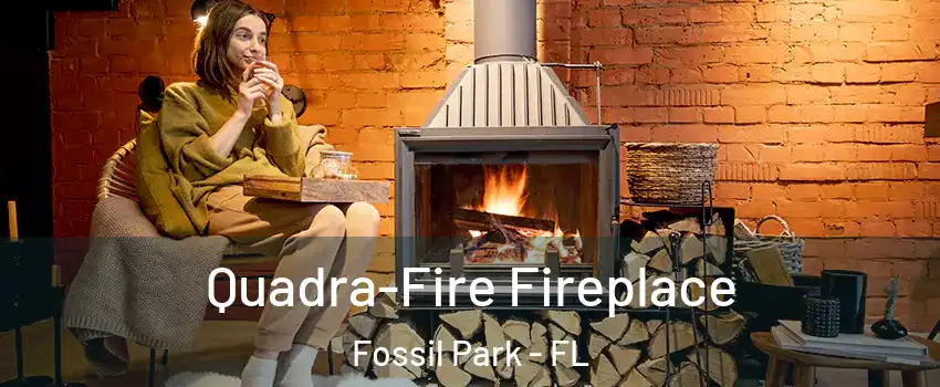 Quadra-Fire Fireplace Fossil Park - FL