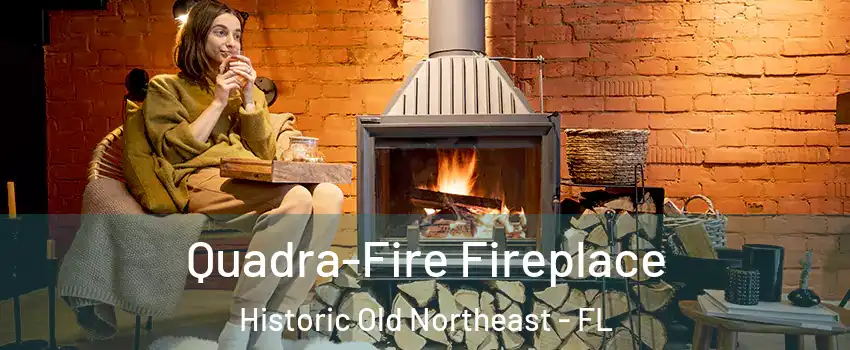 Quadra-Fire Fireplace Historic Old Northeast - FL
