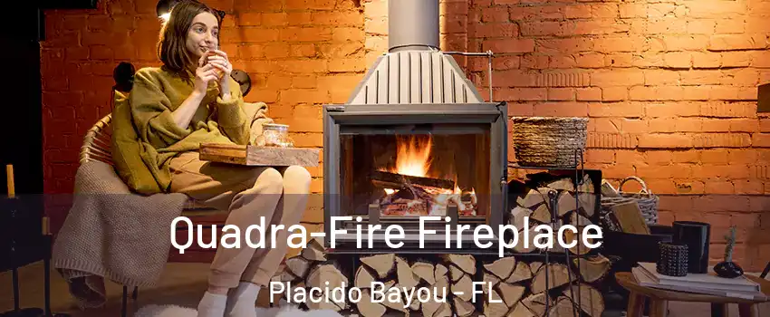 Quadra-Fire Fireplace Placido Bayou - FL