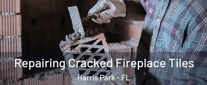 Repairing Cracked Fireplace Tiles Harris Park - FL