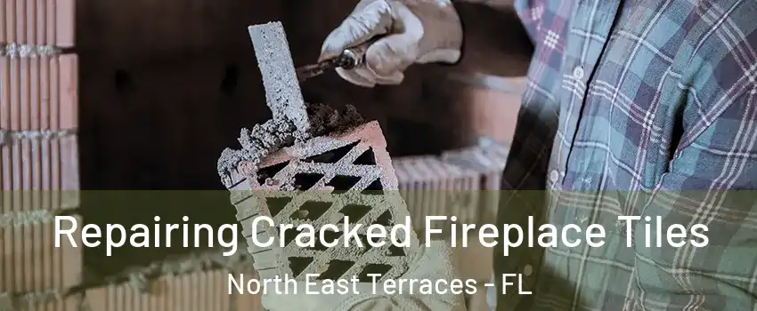 Repairing Cracked Fireplace Tiles North East Terraces - FL